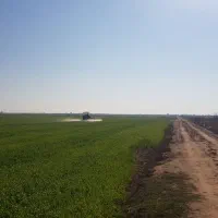 فروش-دو-هکتار-زمین-کشاورزی-آبی