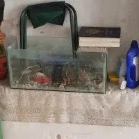 اکواریوم بزرگ با پمپ