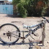 تنه دوچرخه ۲۶