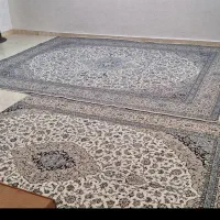 ۵۷متری رهن ۱۵۰ ماهی ۳|اجارهٔ آپارتمان|قرچک, باقرآباد|دیوار