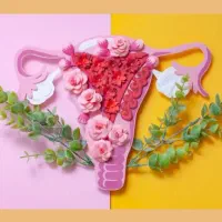 جراحی زیبایی زنان ، لابیا، هود ، پرینو ، واژینو