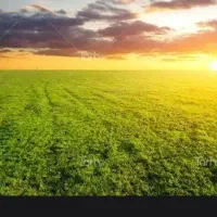 ۱ هکتار زمین و ۴ ساعت اب شیرین دو راهی کوتک