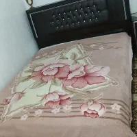 تخت دو نفره همراه با دوتا پاتختی