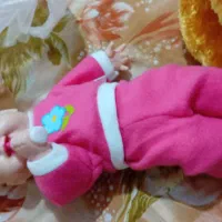 خرس. نی نی زیبا با کالسکه|اسباببازی بچه|فریدونکنار, |دیوار