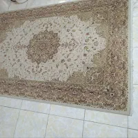 فرش|فرش|بندر انزلی, آذربایجان|دیوار