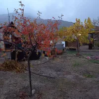 فروش باغچه|فروش زمین و ملک کلنگی|گلبهار, بیزکی|دیوار