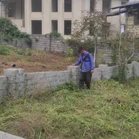 زمین،بافت باغات،نشتارود،کترا،طالش محله|فروش زمین و ملک کلنگی|نشتارود, |دیوار