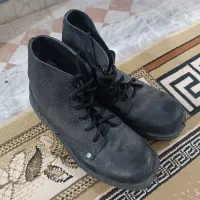 پوتین نو