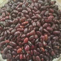 لوبیا