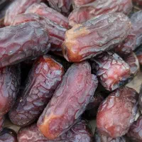 مشاوره تخصصی انواع درخت خرما