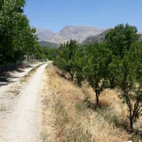 فروش باغ ثمری