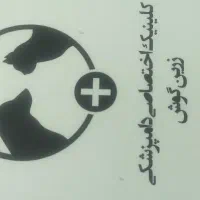 پامر|سگ|چهارباغ, |دیوار