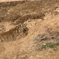 کود گاوی کهنه
