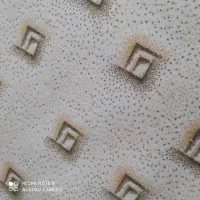موکت|موکت|دوگنبدان, |دیوار