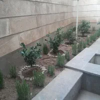 خدمات باغبانی ودرختکاری به تمام نقاط تهران