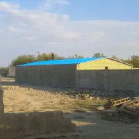 سالن-دامداری