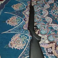 کبوتر دیانا