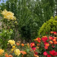باغ ویلای لوکس رزکان انشعابات کامل آب برق گاز