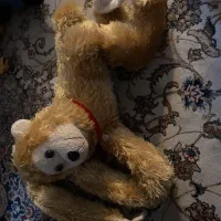 کلی اسباب بازی ماشین قطار|اسباب‌‌بازی|تهران, باغ خزانه|دیوار