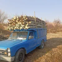 خرید‌ چوب‌ تروخشک‌ وریشه