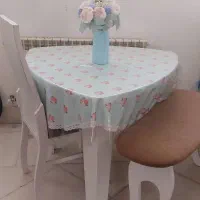 میز ناهار خوری سالم و خاص