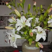 گل لیلیوم مصنوعی با خمیر انعطاف و نشکن