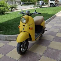 متور پاکشتی