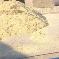 کاه گندم آبی نرم