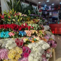 استخدام ادمین حضوری در گلفروشی طبیعی