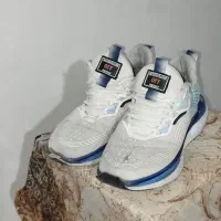 کتونی درحد|کیف، کفش، کمربند|نسیم‌شهر, |دیوار