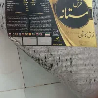 قالی تمیز آک نو