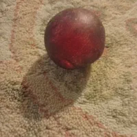 گوهرشب چراغ اصل|کلکسیون اشیاء عتیقه|اراک, |دیوار