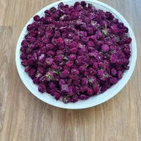 گل رز عطری برای چای(تی‌رز)