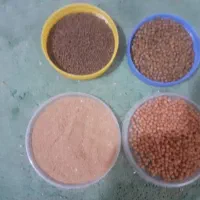 غذای ماهی