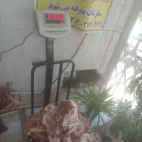 گوشت گوساله و گوسفندی  توجه گوست گوساله ۴۹۰ هزار ت|خوردنی و آشامیدنی|قم, در بهشت|دیوار