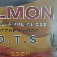 هود نو برند آلمون