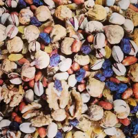 انواع اجیل و خشکبار