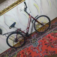 دوچرخه