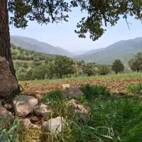 زمین۱۷۵متری(گواور)