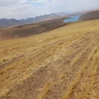 فرقان