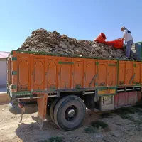 کود گاوی ،کود مرغی،کود حیوانی