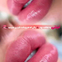 آرایش دائم فیبروز ابرو شیدینگ لب خط چشم بن مژه|خدمات آرایشگری و زیبایی|شیراز, رازی|دیوار