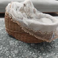 کریرحصیری نوزاد