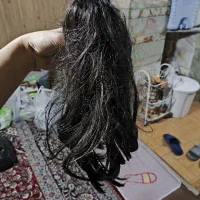 کلاه گیس|آرایشی، بهداشتی، درمانی|شیراز, وصال|دیوار