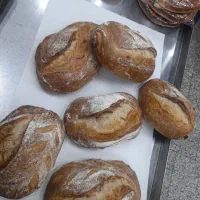 شاطر و فردار ‌نان فانتزی