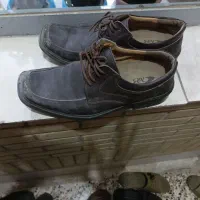 کفش مجلسی
