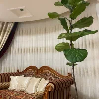 دکوراسیون داخلی