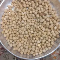 نخود