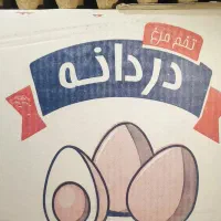 پخش مویرگی و عمده تخممرغ تازه و با کیفیت|خوردنی و آشامیدنی|تهران, مشیریه|دیوار