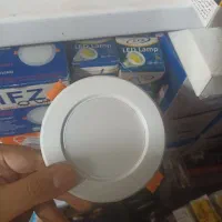 لامپ هالوژن بک لایت با ۱۲ ماه گارانتی تعویض